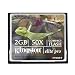 Electronics : Kingston CF/2GB-S 2 GB ElitePro CompactFlash Card (Retail Package)