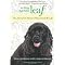 THE SPIRITUAL BEAUTY OF ANIMALS AND NATURE