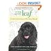 A Dog Named Leaf: The Hero from Heaven Who Saved My Life