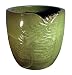 Small Seychelles Planter Grape