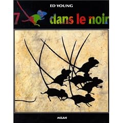 7 souris dans le noir
