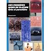 Mes premi�res bases de gla�ures : gr�s et porcelaine