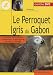 Le perroquet gris du Gabon