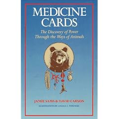 Medicine Cards: The Discovery of Power Through the Ways of Animals/Book and Cards
