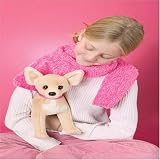 Chihuahua-ChiChi