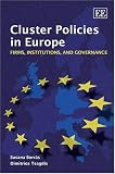 Cluster policies in Europe : firms, institutions and governance