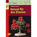 Bonsai f�r das Zimmer