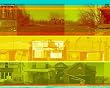 Urban Ecology