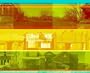 Urban Ecology: Detroit and Beyond