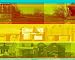 Books : Urban Ecology