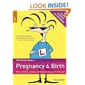 The Rough Guide to Pregnancy and Birth