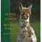 Start a Small Alpaca Farm