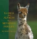 Llamas and Alpacas as a Metaphor for Life