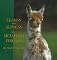 Llamas and Alpacas as a Metaphor for Life