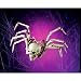 Skeleton Spider