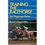 Training the Racehorse