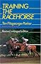 Training the Racehorse