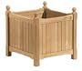 Oxford Garden 19-Inch Shorea English Planter