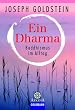 Ein Dharma: Buddhismus im Alltag