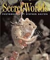 Secret Worlds