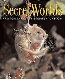 Secret Worlds
