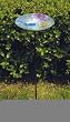 Sapphire Dragonfly Stake Bird Feeder