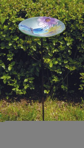 Sapphire Dragonfly Stake Bird Feeder