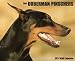 Dobermans 2011 Wall Calendar (Just)