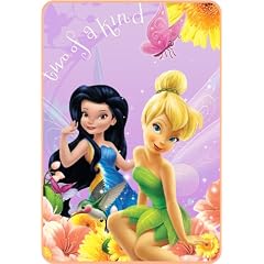 Disney Fairies Fantasy Swirl Microraschel Blanket