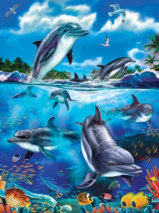 Dolphin Family 400 Piece Family Jigsaw Puzzle-image