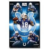 Indianapolis Colts Peyton Manning, Dallas Clark, Reggie Wayne, Anthony Gonzalez, Bob Sanders - 22x34