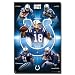 Indianapolis Colts Peyton Manning, Dallas Clark, Reggie Wayne, Anthony Gonzalez, Bob Sanders - 22x34