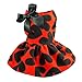 Fitwarm Adorable Sweat Heart Ribbon Pet Dog Dress Clothes Shirts, Red, Medium