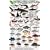 Reef Fish: Baja California - Sea of Cortez - Pacific Coast (Mexico Field Guides)