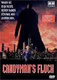 Candyman's Fluch - Virginia Madsen