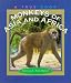 Monkeys of Asia and Africa (True Books)