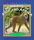 Monkeys of Asia and Africa (True Books)
