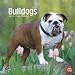Bulldogs 2010 Wall