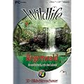 3D-Bildschirmschoner Regenwald