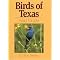 Bird and Wildlife Guides for Texas