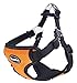 BINGPET No Pull Dog Harness Reflective for Pet Puppy Freedom Walking Medium Orange