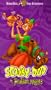 Scooby-Doo in Arabian Nights [VHS]