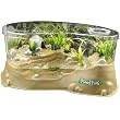 Planet Frog Habitat