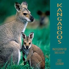 Kangaroos 2001 Calendar