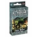 Fantasy Flight Games CT45 - Call of Cthulhu: That which Consumes Asylum Pack