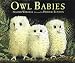 Owl Babies (Little Favourites)