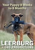 Your Puppy 8 Weeks to 8 Months DVD