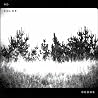 Bild des Albums von The Dodos