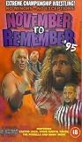 Review Delta Visual Entertainment  / ECW - November To Remember '95 [1995]