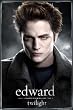 Twilight Entertainment Poster Print, 24x36 Twilight Entertainment Poster Print, 24x36